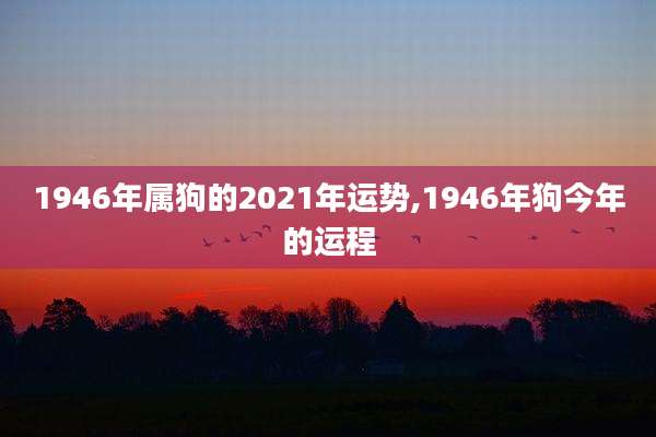 1946年属狗的2021年运势,1946年狗今年的运程