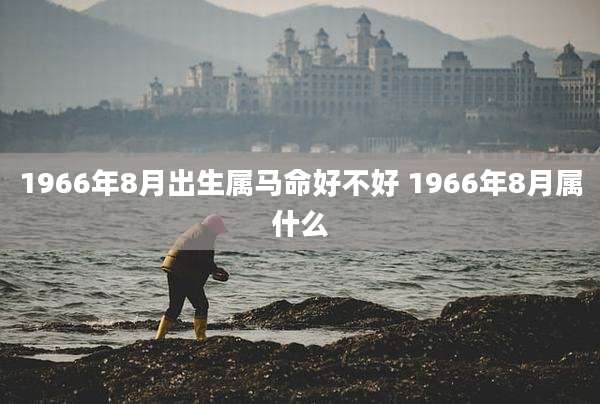 1966年8月出生属马命好不好 1966年8月属什么
