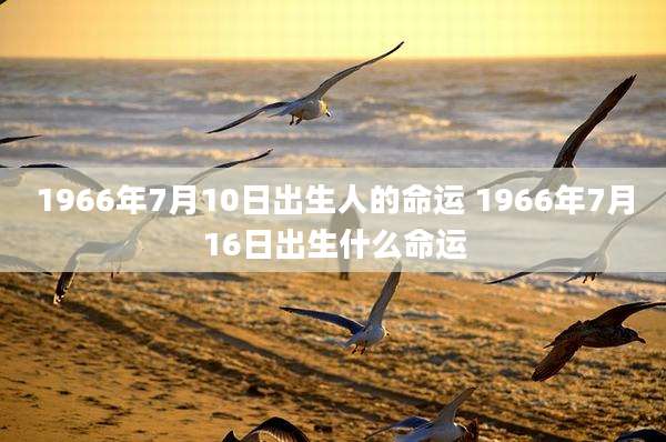 1966年7月10日出生人的命运 1966年7月16日出生什么命运