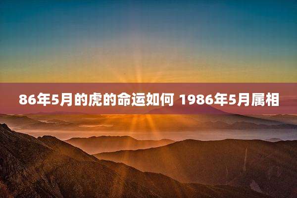 86年5月的虎的命运如何 1986年5月属相