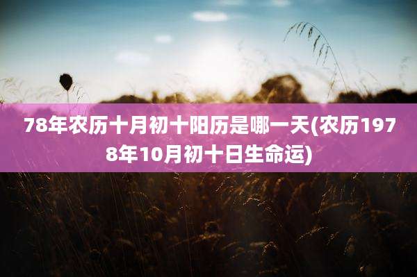 78年农历十月初十阳历是哪一天(农历1978年10月初十日生命运)