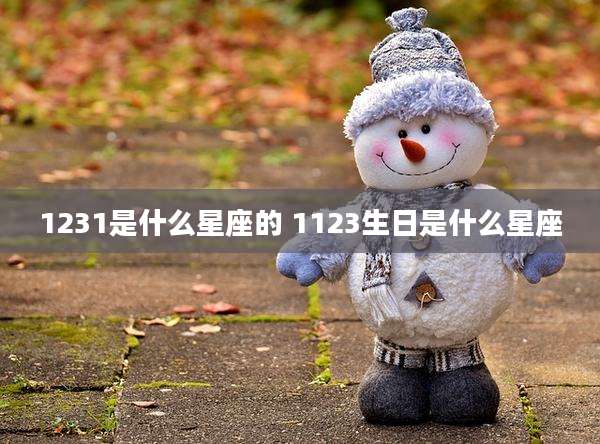 1231是什么星座的 1123生日是什么星座