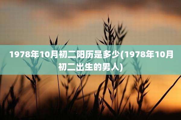 1978年10月初二阳历是多少(1978年10月初二出生的男人)