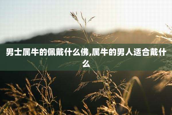 男士属牛的佩戴什么佛,属牛的男人适合戴什么