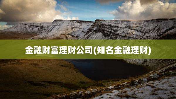 金融财富理财公司(知名金融理财)