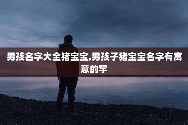 男孩名字大全猪宝宝,男孩子猪宝宝名字有寓意的字