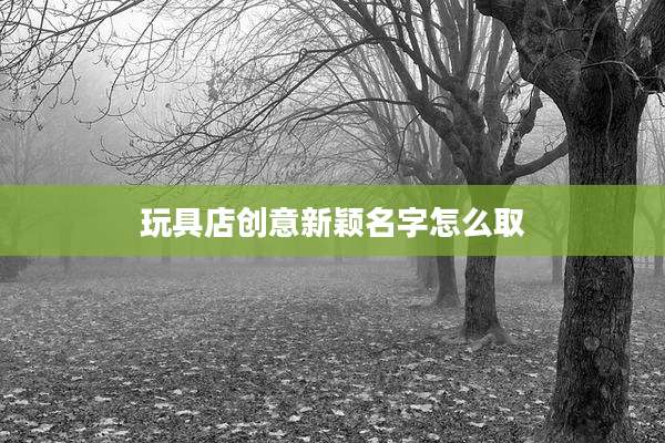 玩具店创意新颖名字怎么取