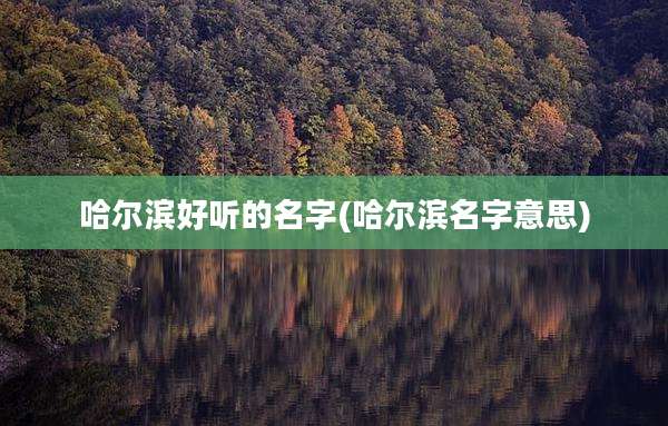 哈尔滨好听的名字(哈尔滨名字意思)