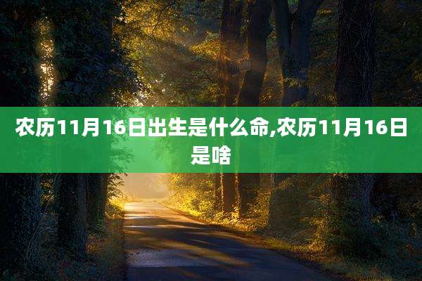 农历11月16日出生是什么命,农历11月16日是啥