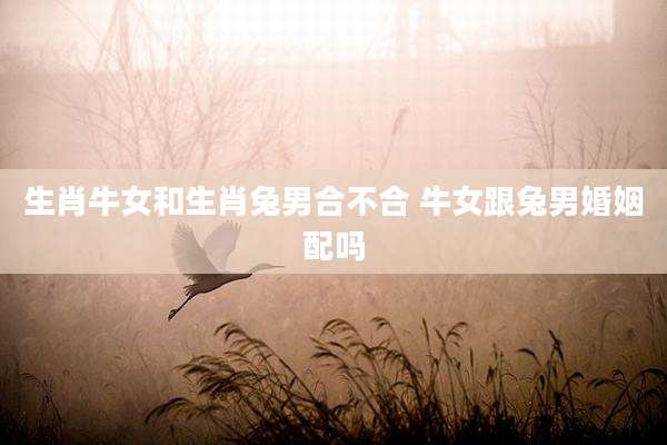 生肖牛女和生肖兔男合不合 牛女跟兔男婚姻配吗