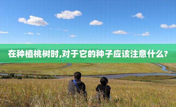 在种植桃树时,对于它的种子应该注意什么?