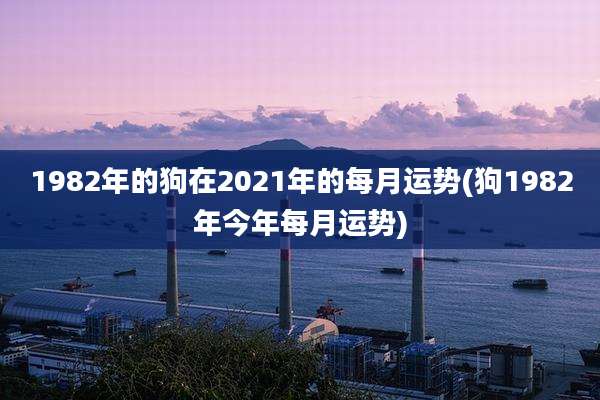 1982年的狗在2021年的每月运势(狗1982年今年每月运势)