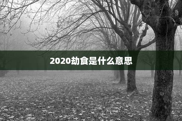 2020劫食是什么意思