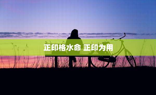 正印格水命 正印为用