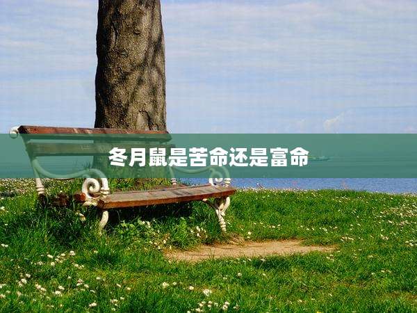 冬月鼠是苦命还是富命
