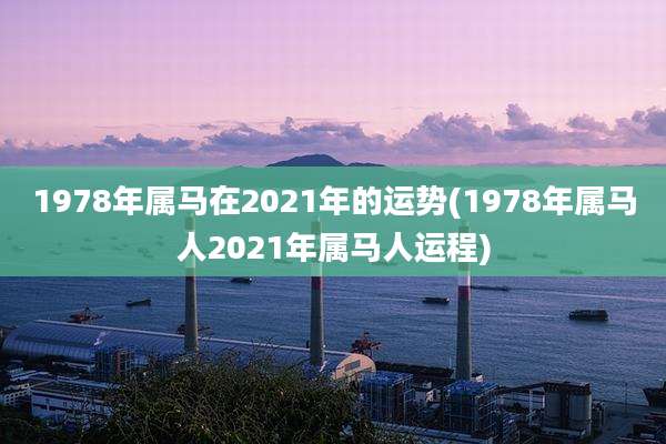 1978年属马在2021年的运势(1978年属马人2021年属马人运程)