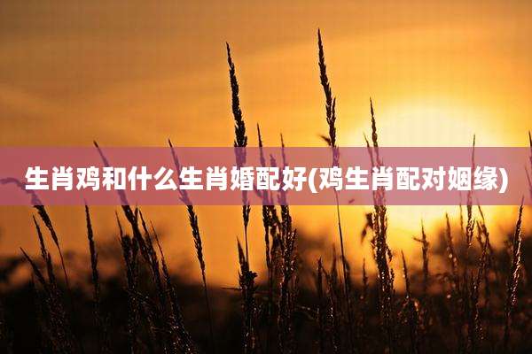 生肖鸡和什么生肖婚配好(鸡生肖配对姻缘)