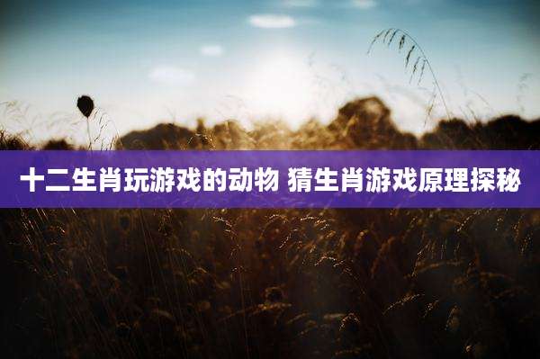 十二生肖玩游戏的动物 猜生肖游戏原理探秘