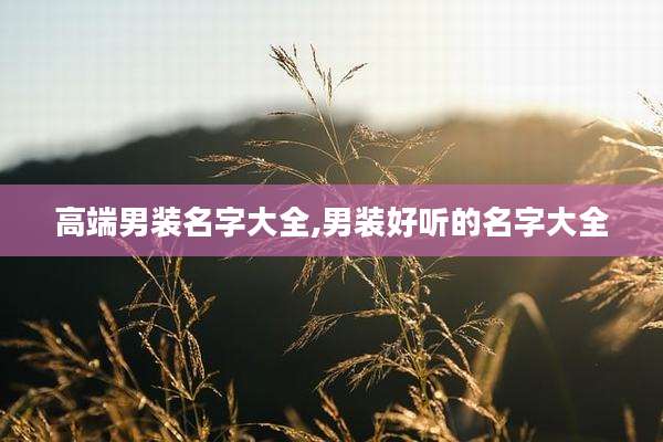 高端男装名字大全,男装好听的名字大全