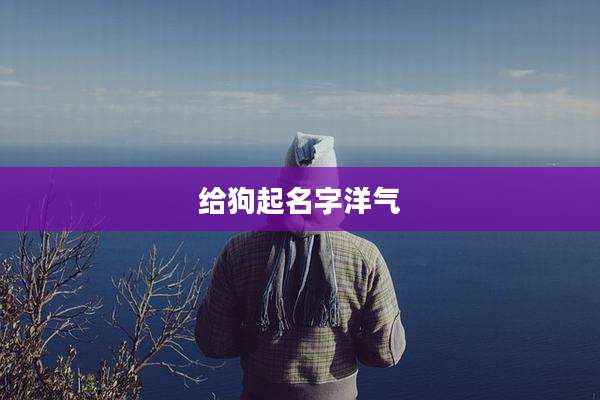 给狗起名字洋气