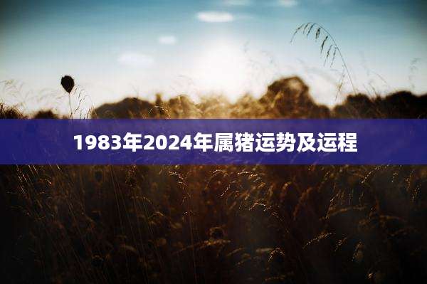 1983年2024年属猪运势及运程