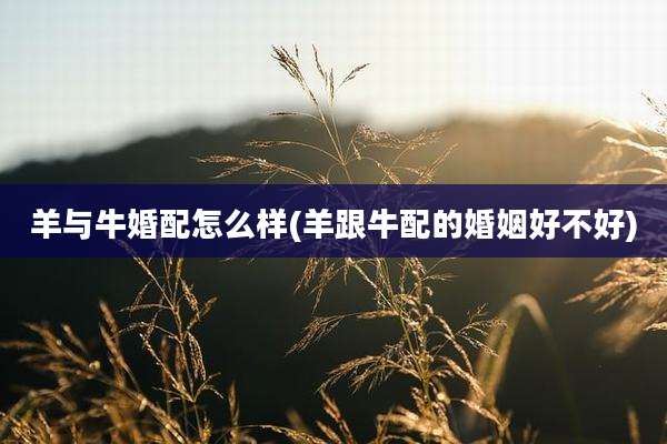 羊与牛婚配怎么样(羊跟牛配的婚姻好不好)