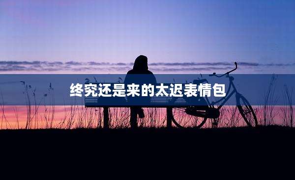 终究还是来的太迟表情包