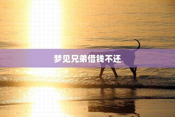 梦见兄弟借钱不还