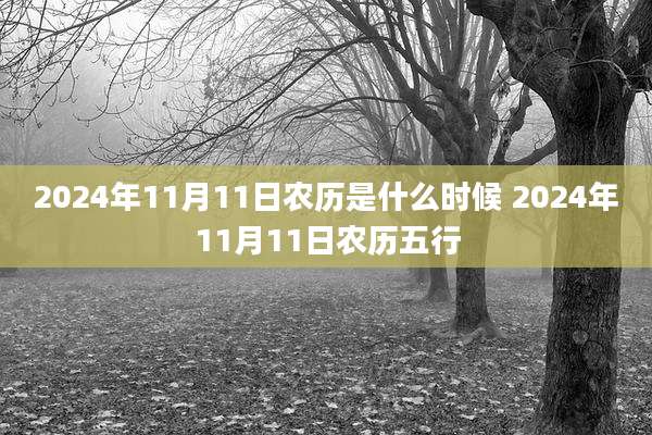 2024年11月11日农历是什么时候 2024年11月11日农历五行