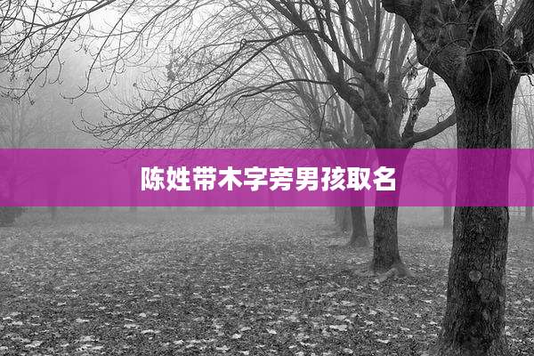 陈姓带木字旁男孩取名