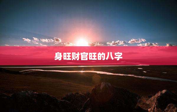 身旺财官旺的八字