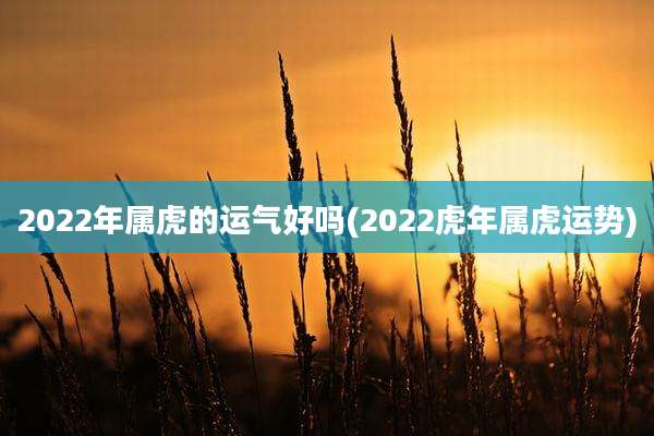 2022年属虎的运气好吗(2022虎年属虎运势)
