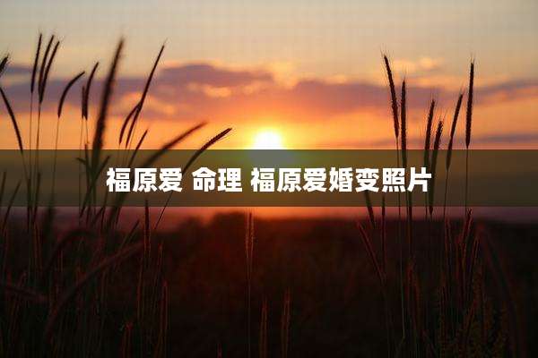 福原爱 命理 福原爱婚变照片