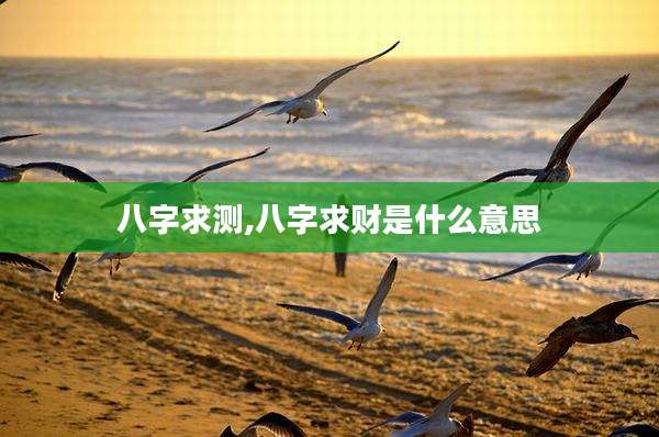 八字求测,八字求财是什么意思