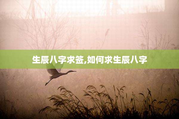 生辰八字求签,如何求生辰八字