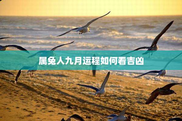 属兔人九月运程如何看吉凶