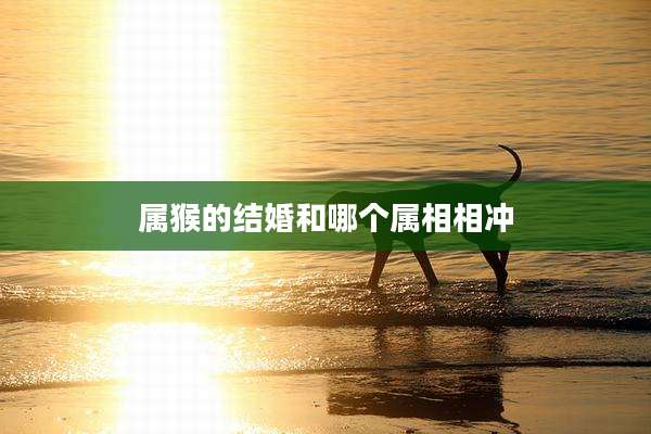 属猴的结婚和哪个属相相冲