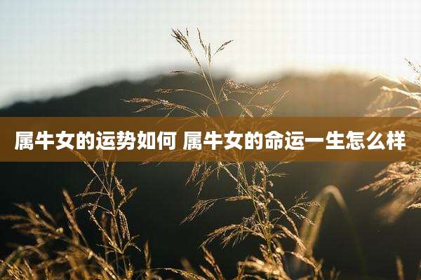 属牛女的运势如何 属牛女的命运一生怎么样