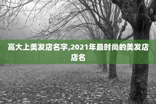 高大上美发店名字,2021年最时尚的美发店店名