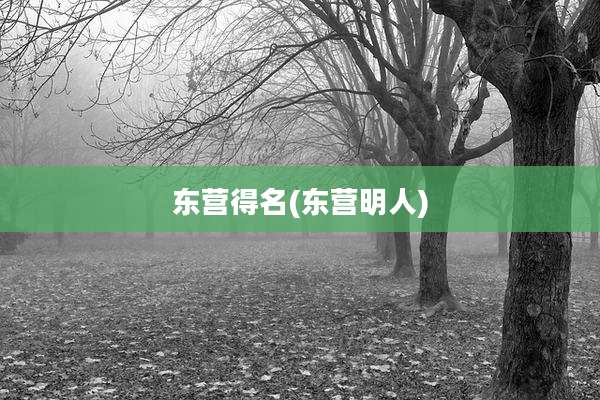 东营得名(东营明人)