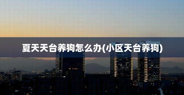 夏天天台养狗怎么办(小区天台养狗)