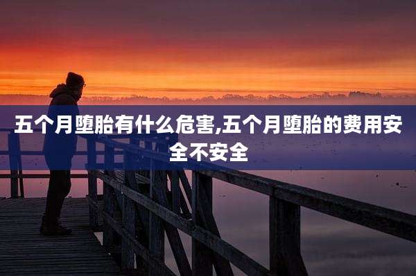 五个月堕胎有什么危害,五个月堕胎的费用安全不安全