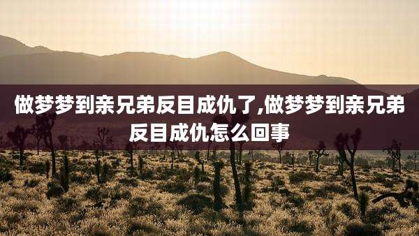 做梦梦到亲兄弟反目成仇了,做梦梦到亲兄弟反目成仇怎么回事