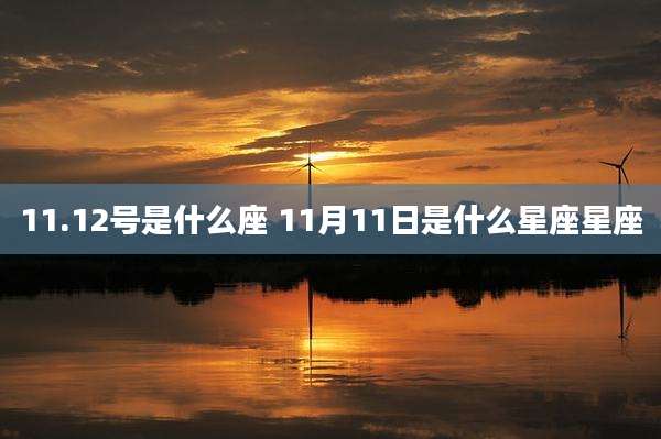 11.12号是什么座 11月11日是什么星座星座