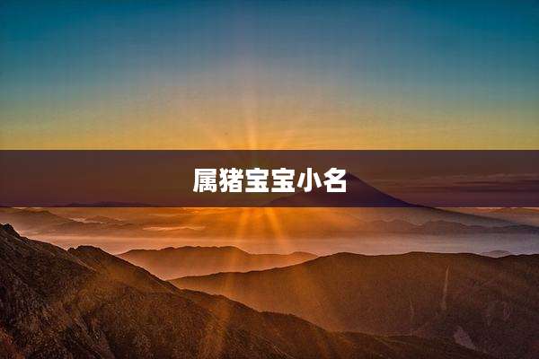 属猪宝宝小名