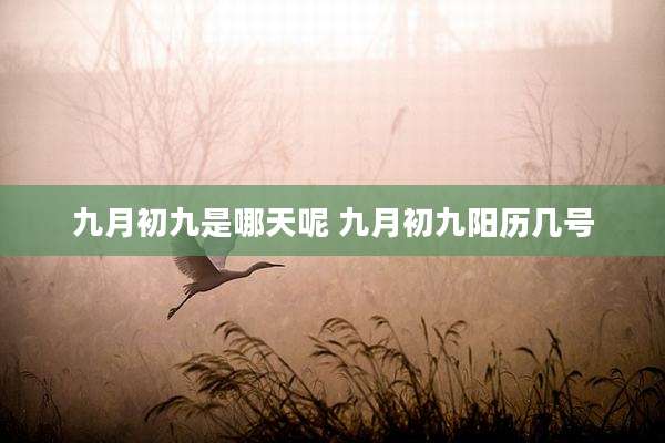 九月初九是哪天呢 九月初九阳历几号