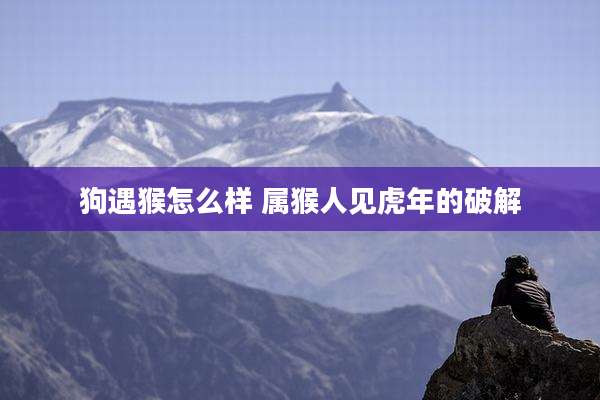 狗遇猴怎么样 属猴人见虎年的破解