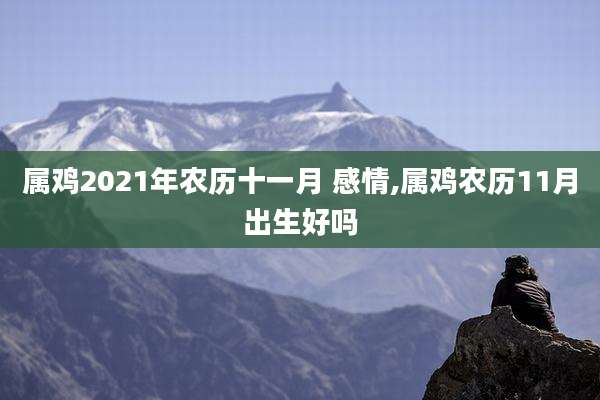 属鸡2021年农历十一月 感情,属鸡农历11月出生好吗