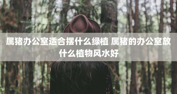 属猪办公室适合摆什么绿植 属猪的办公室放什么植物风水好