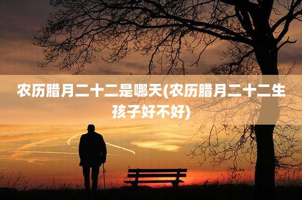 农历腊月二十二是哪天(农历腊月二十二生孩子好不好)